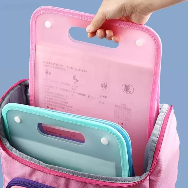 13-Pocket A4 Accordion File Or - огляд і ціна Expandable Accordion File Folder 13 Pockets